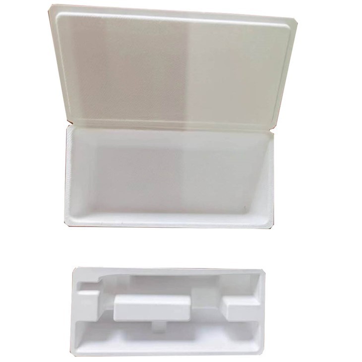 Customized Compostable Biodegradable Molded Sugarcane Bagasse Pulp Packaging